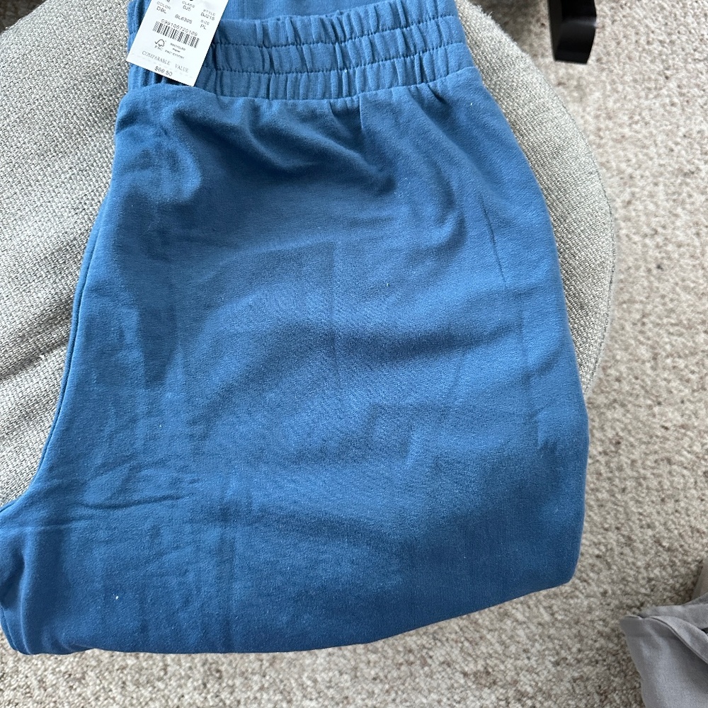 Brand new J Crew Dark Teal Brushed Women’s Joggers - Petite Large